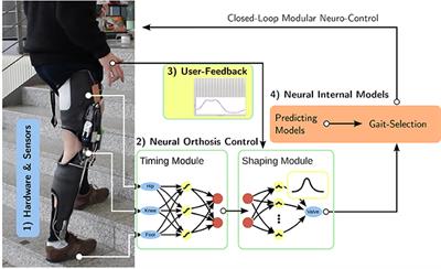 Modular Neural Mechanisms for Gait Phase Tracking, Prediction, and Selection in Personalizable Knee-Ankle-Foot-Orthoses